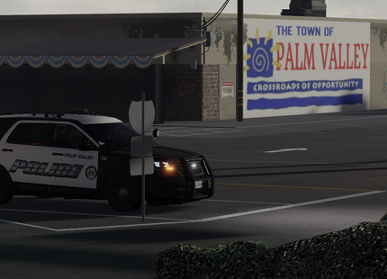 Palm Valley, California [LIMITED 1/5]