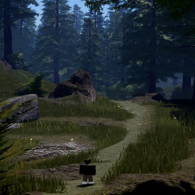 Redwood Forest