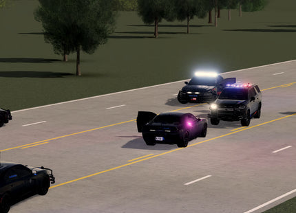 Clayton County, Georgia Roleplay