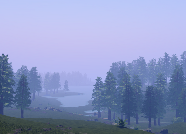 Redwood Forest