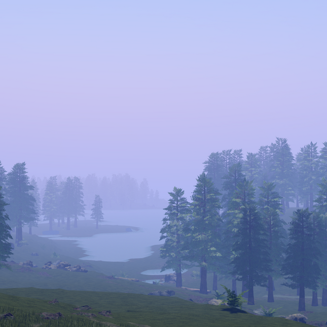 Redwood Forest